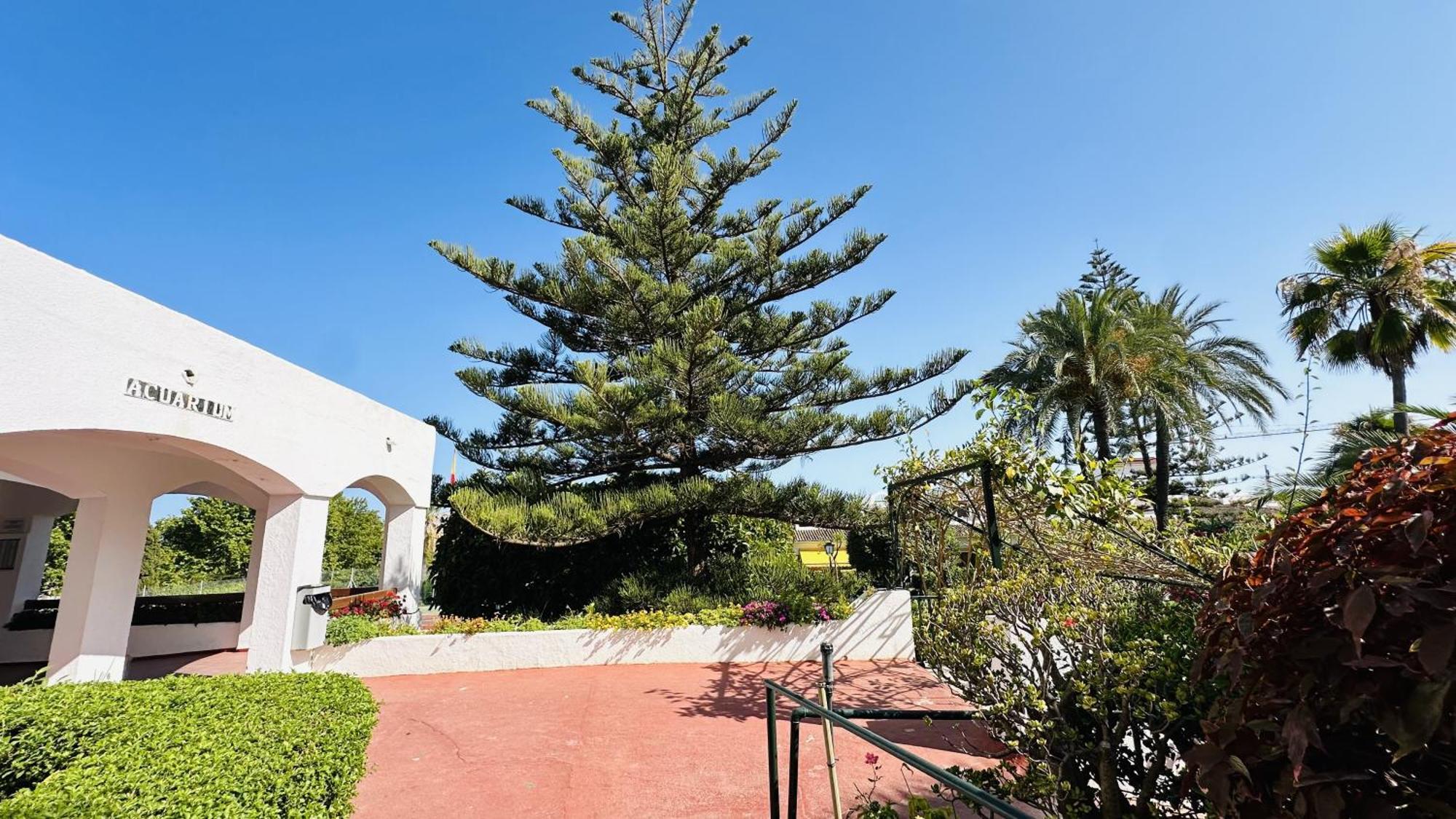 Marbella Studio Golden Mile Kültér fotó